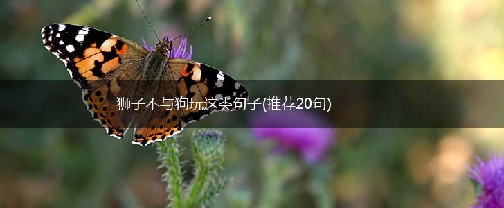 狮子不与狗玩这类句子(推荐20句),第1张