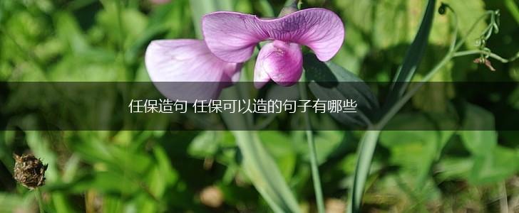 任保造句 任保可以造的句子有哪些,第1张