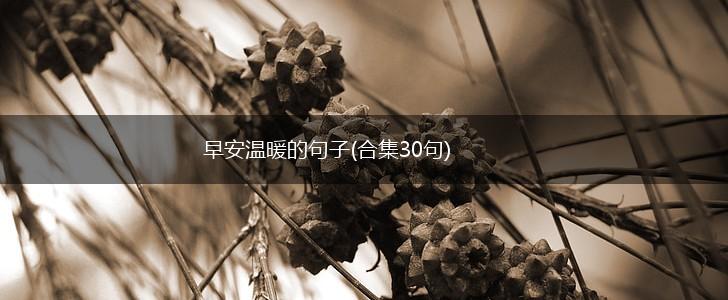 早安温暖的句子(合集30句),第1张