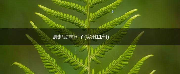 晨起励志句子(实用11句),第1张