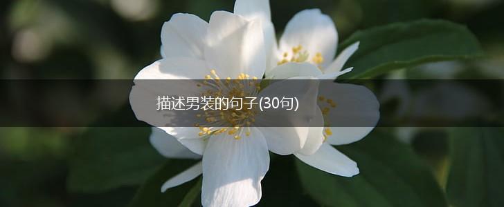 描述男装的句子(30句),第1张