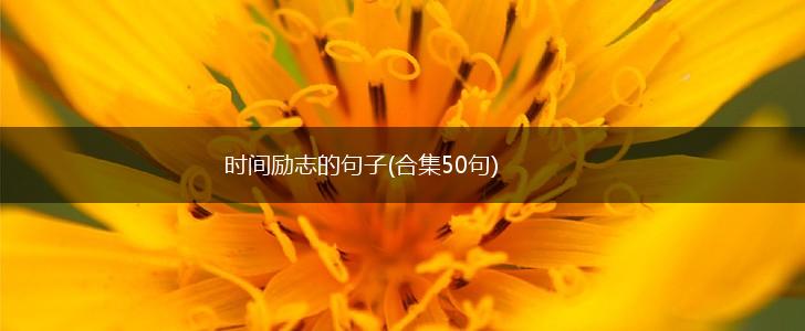 时间励志的句子(合集50句),第1张