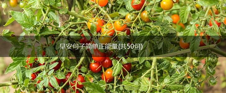 早安句子简单正能量(共50句),第1张