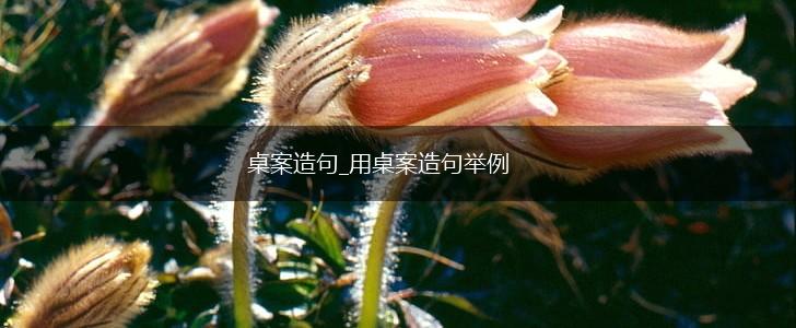 桌案造句_用桌案造句举例,第1张