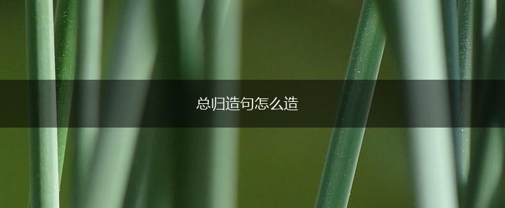 总归造句怎么造,第1张