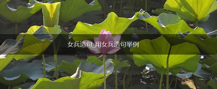 女兵造句_用女兵造句举例,第1张