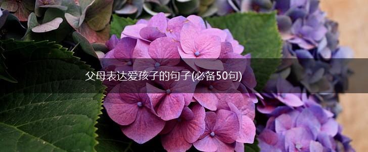 父母表达爱孩子的句子(必备50句),第1张