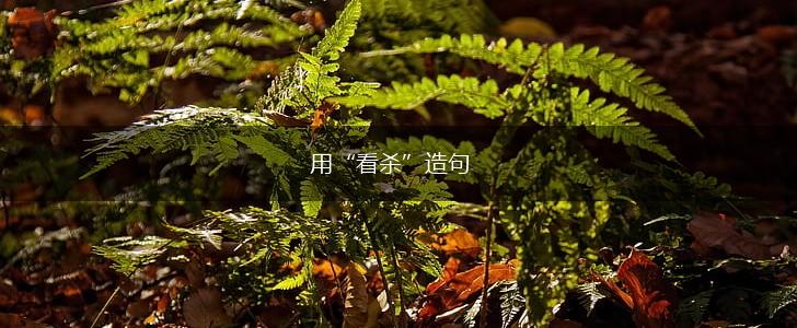 用“看杀”造句,第1张