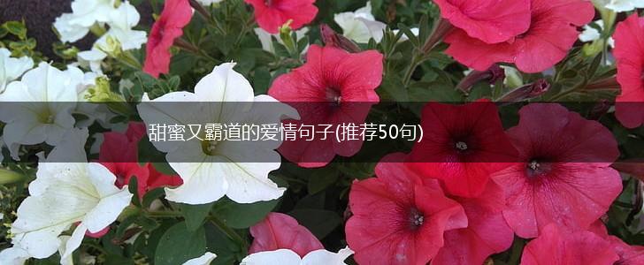 甜蜜又霸道的爱情句子(推荐50句),第1张