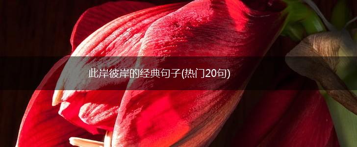此岸彼岸的经典句子(热门20句),第1张