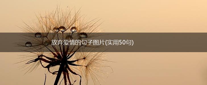 放弃爱情的句子图片(实用50句),第1张
