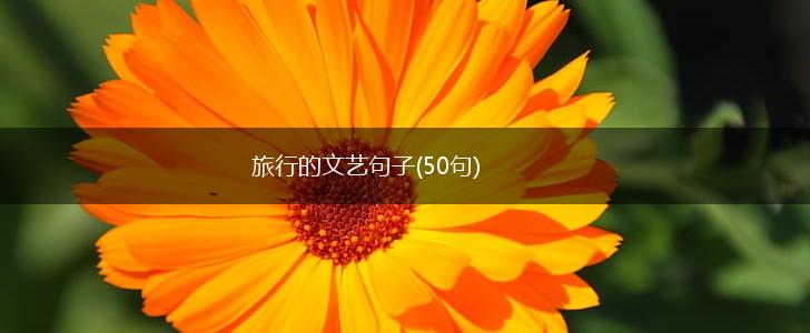 旅行的文艺句子(50句),第1张