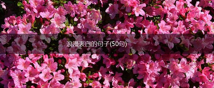 浪漫表白的句子(50句),第1张