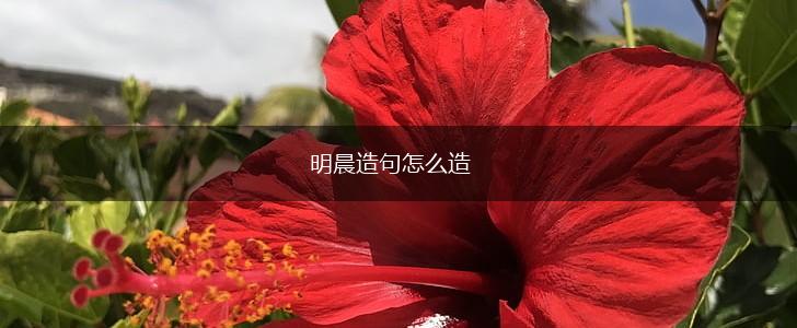 明晨造句怎么造,第1张