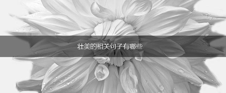 壮美的相关句子有哪些,第1张
