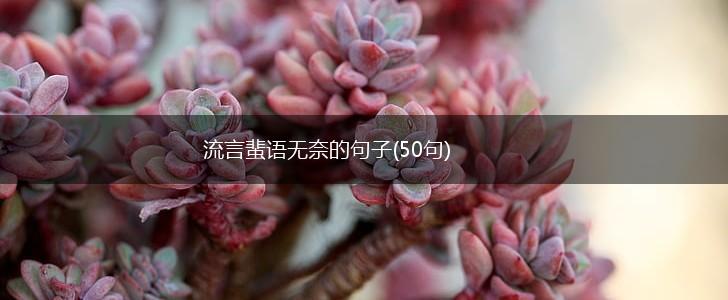 流言蜚语无奈的句子(50句),第1张