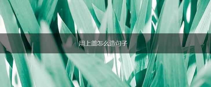 用上盖怎么造句子,第1张
