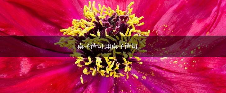 桌子造句,用桌子造句,第1张