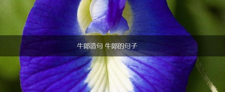 牛郎造句 牛郎的句子,第1张