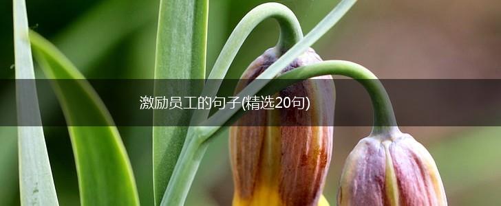 激励员工的句子(精选20句),第1张
