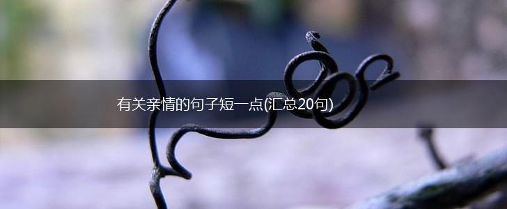 有关亲情的句子短一点(汇总20句),第1张