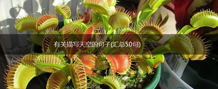 有关描写天空的句子(汇总50句),第1张