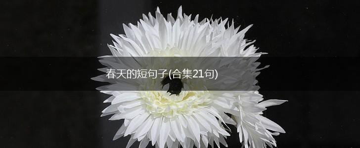 春天的短句子(合集21句),第1张