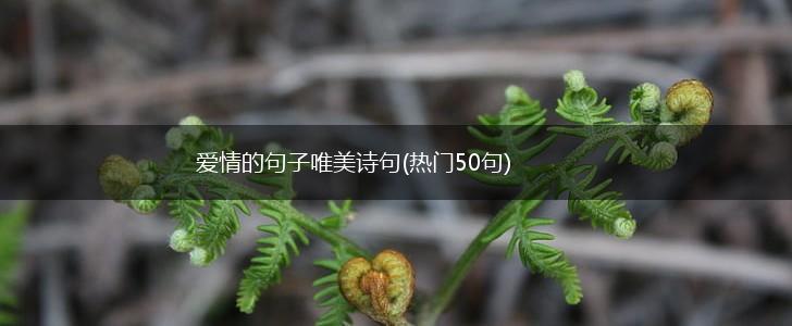 爱情的句子唯美诗句(热门50句),第1张