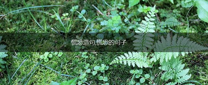 慌恐造句,慌恐的句子,第1张