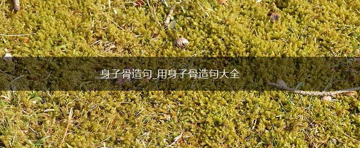 身子骨造句_用身子骨造句大全,第1张