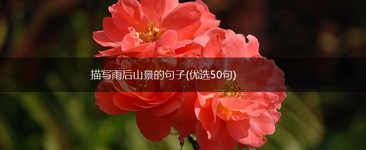 描写雨后山景的句子(优选50句),第1张