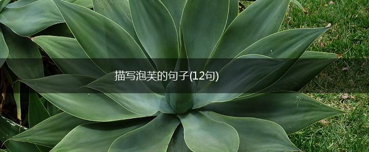 描写泡芙的句子(12句),第1张