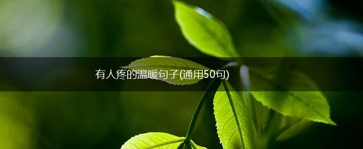 有人疼的温暖句子(通用50句),第1张