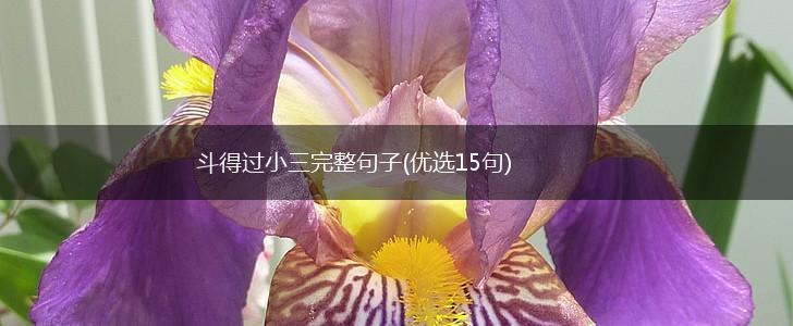 斗得过小三完整句子(优选15句),第1张