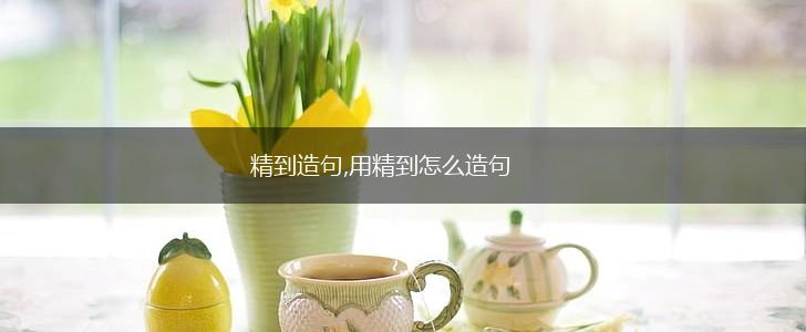 精到造句,用精到怎么造句,第1张