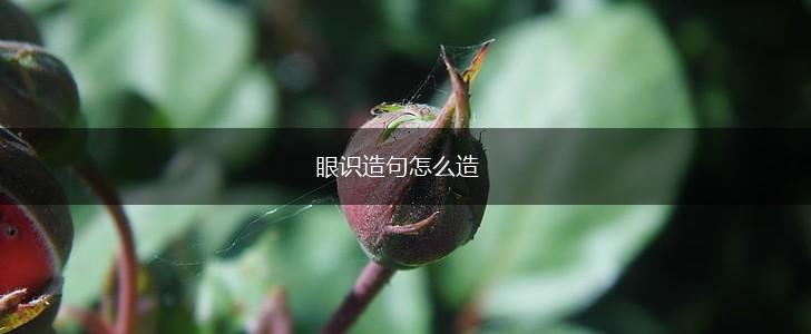 眼识造句怎么造,第1张