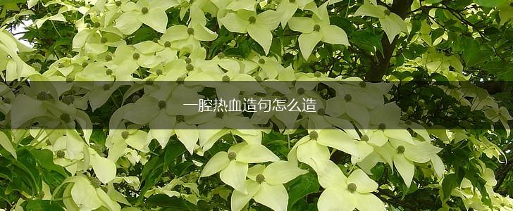 一腔热血造句怎么造,第1张