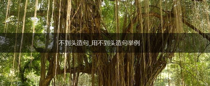不到头造句_用不到头造句举例,第1张