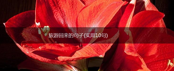 旅游回来的句子(实用10句),第1张