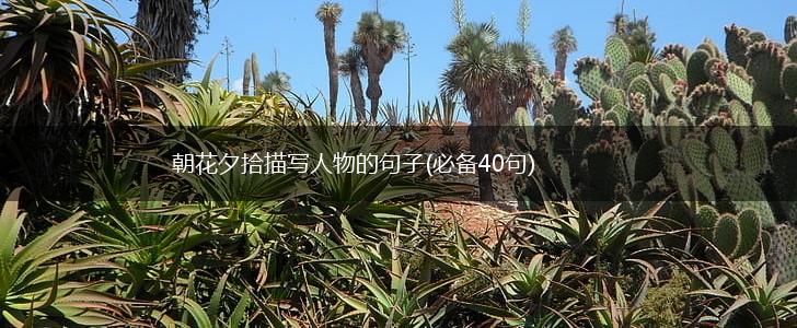 朝花夕拾描写人物的句子(必备40句),第1张