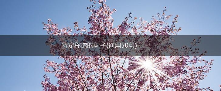 特定称谓的句子(通用50句),第1张