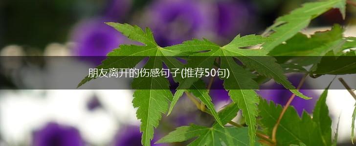 朋友离开的伤感句子(推荐50句),第1张