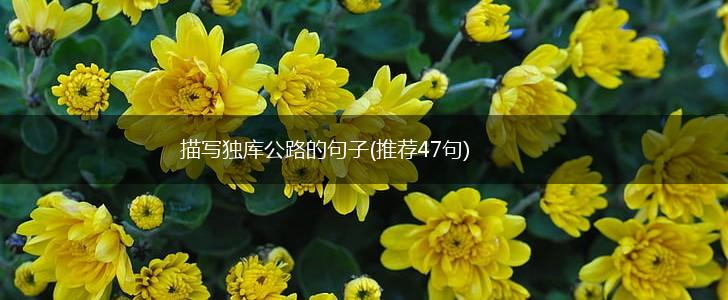 描写独库公路的句子(推荐47句),第1张