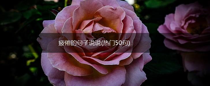 疲倦的句子说说(热门50句),第1张