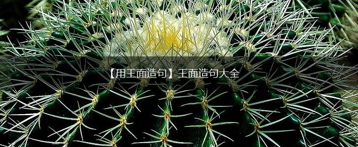 【用王面造句】王面造句大全,第1张