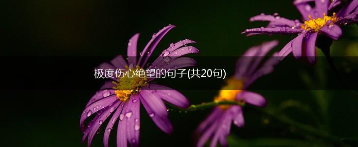 极度伤心绝望的句子(共20句),第1张