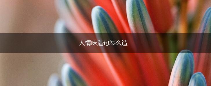 人情味造句怎么造,第1张