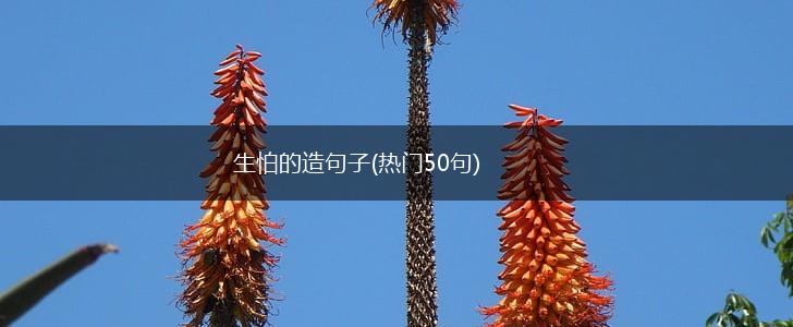 生怕的造句子(热门50句),第1张