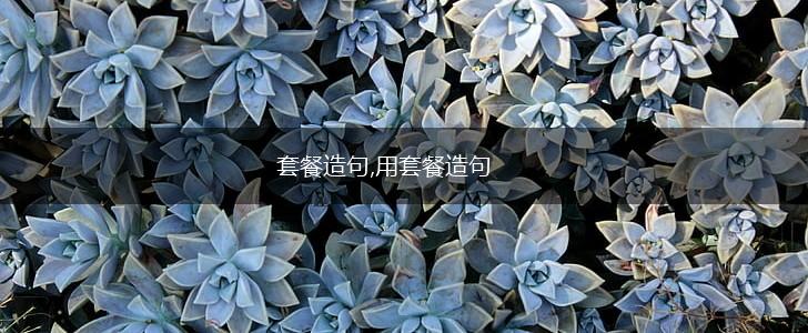 套餐造句,用套餐造句,第1张
