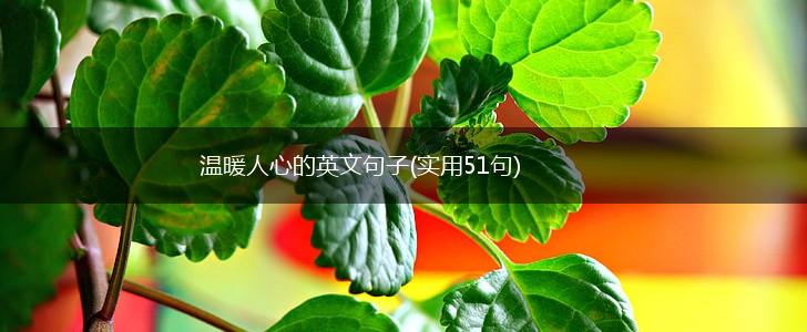 温暖人心的英文句子(实用51句),第1张